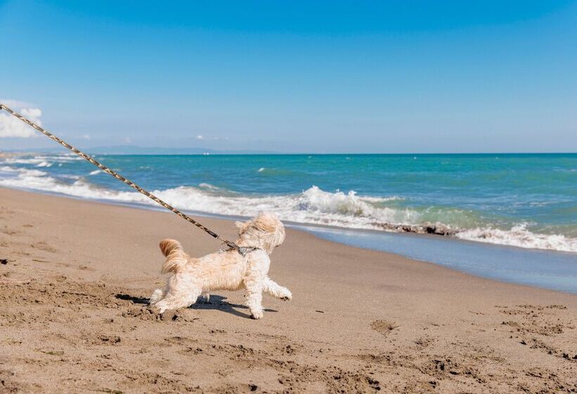 בית מלון כפרי Gitavillage Club Degli Amici