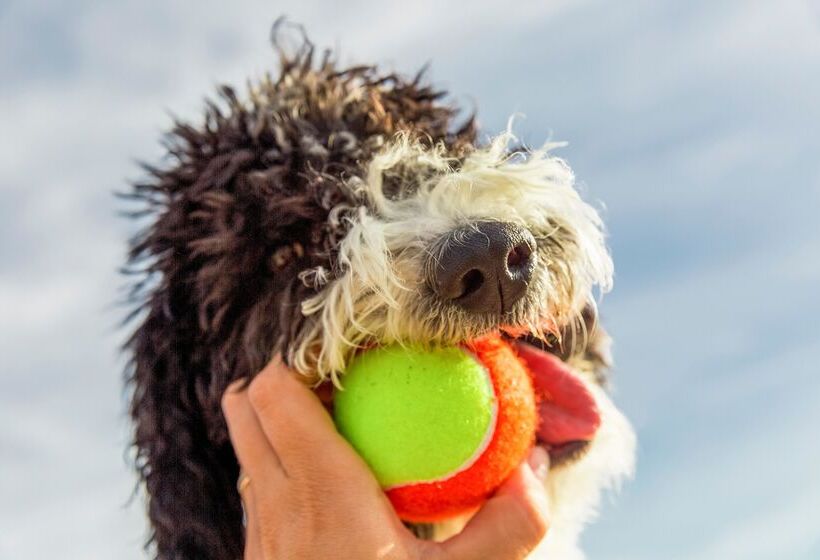 בית מלון כפרי Gitavillage Club Degli Amici