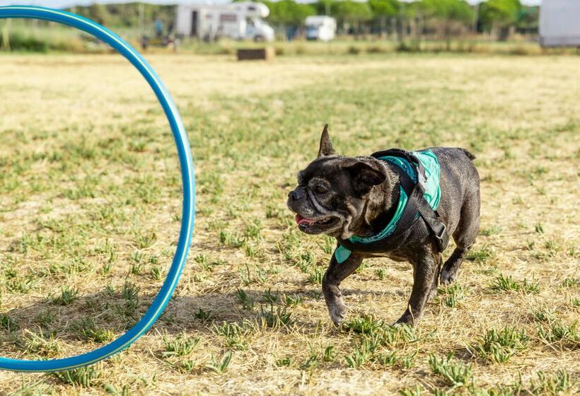 בית מלון כפרי Gitavillage Club Degli Amici