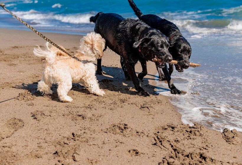 בית מלון כפרי Gitavillage Club Degli Amici