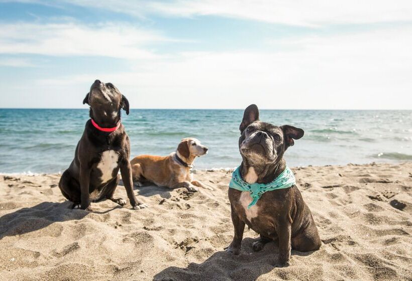 בית מלון כפרי Gitavillage Club Degli Amici