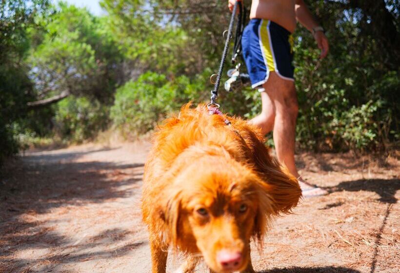 בית מלון כפרי Gitavillage Club Degli Amici