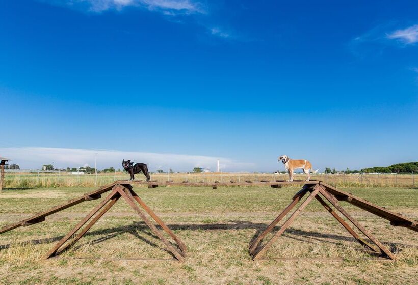 בית מלון כפרי Gitavillage Club Degli Amici