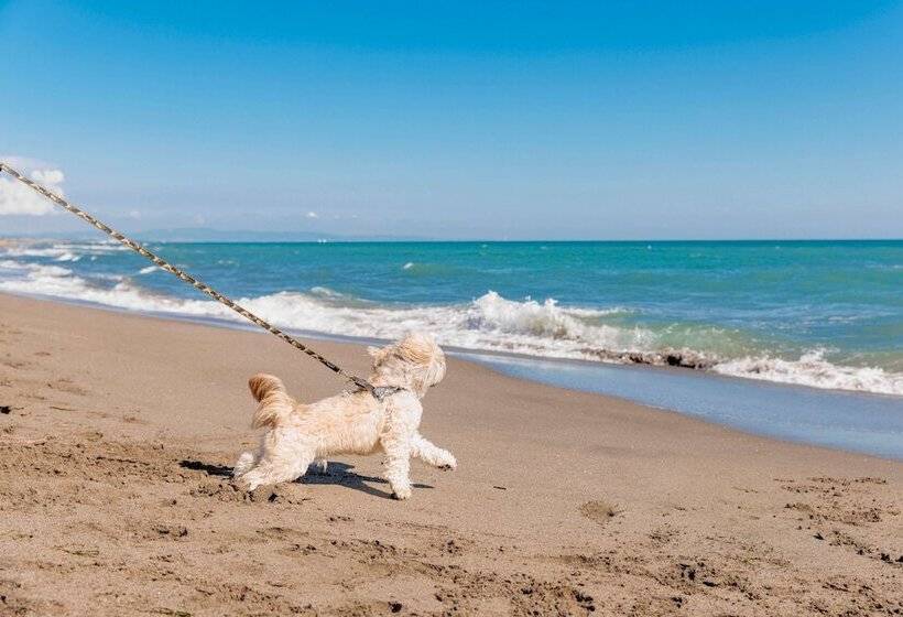 בית מלון כפרי Gitavillage Club Degli Amici