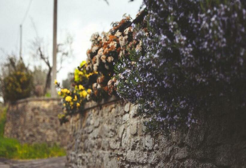 Сельский отель Agriturismo La Collina Toscana