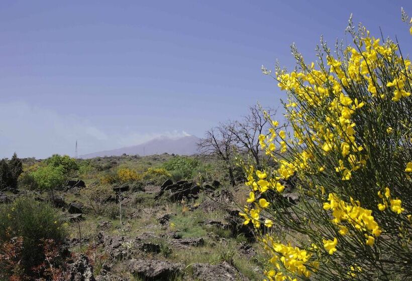 בית מלון כפרי Etnella Enoagriturismo Notti Stellate