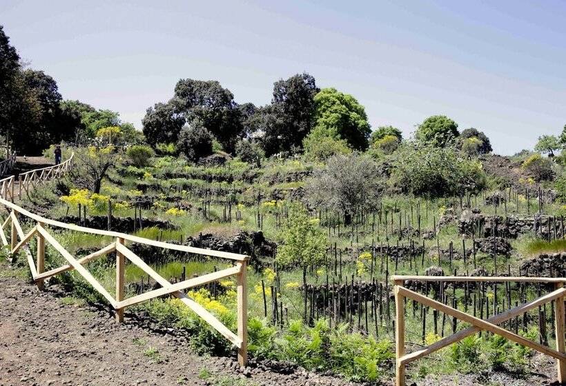 בית מלון כפרי Etnella Enoagriturismo Notti Stellate