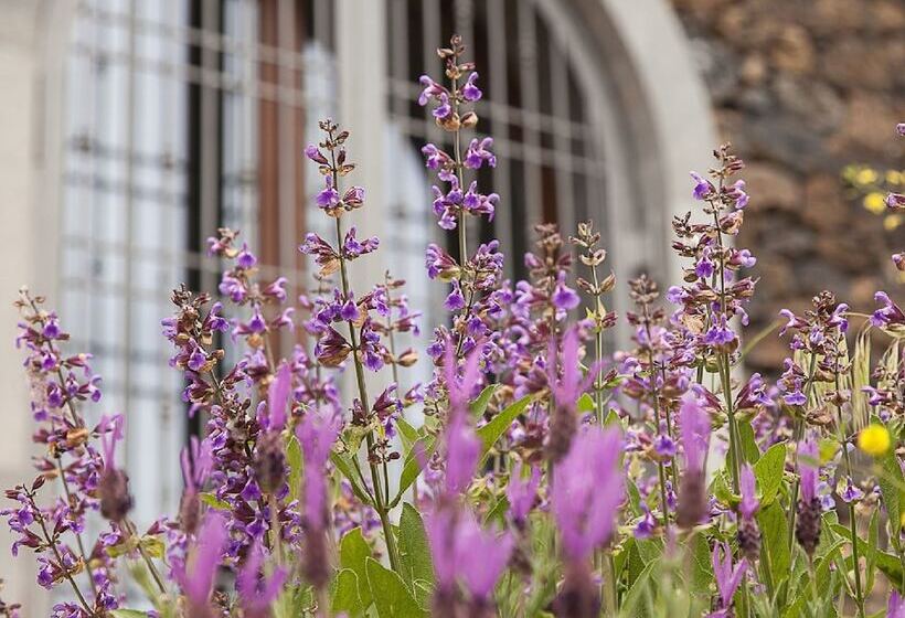 בית מלון כפרי Etnella Enoagriturismo Notti Stellate