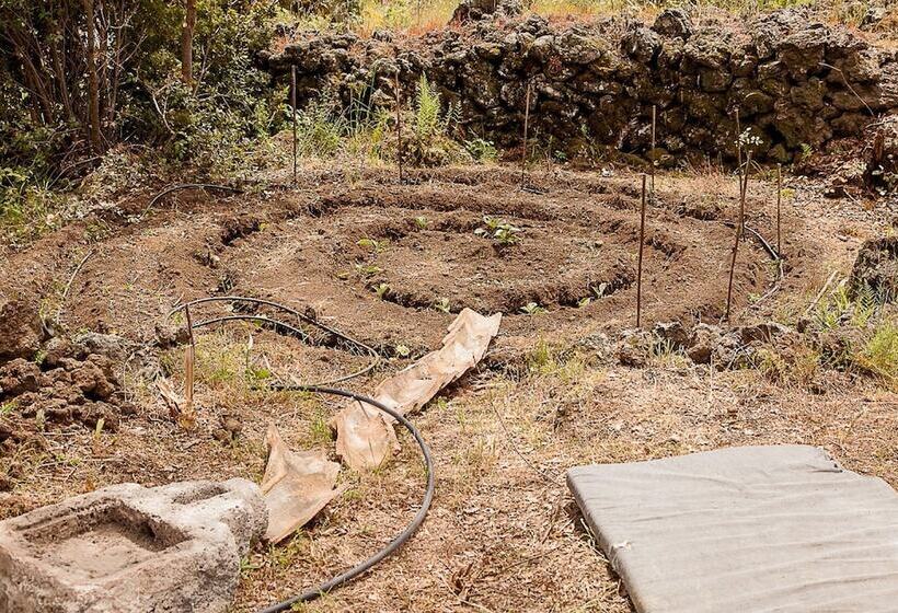 בית מלון כפרי Etnella Enoagriturismo Notti Stellate