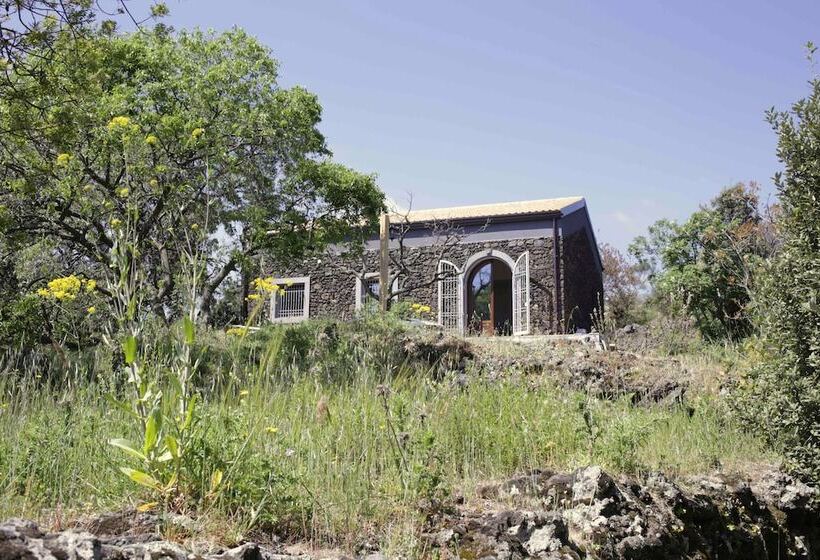 בית מלון כפרי Etnella Enoagriturismo Notti Stellate