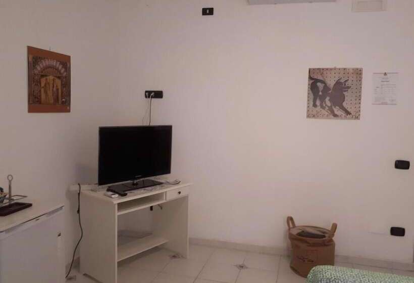 Miss Emily Vesuvio B&b