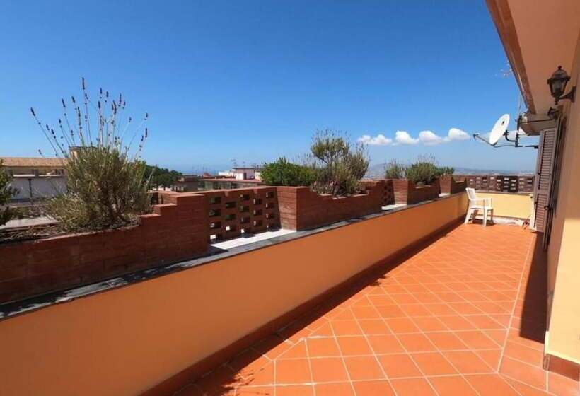 Miss Emily Vesuvio B&b