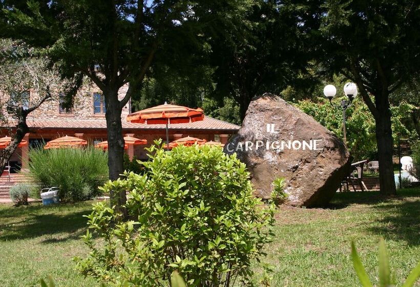 إقامة Il Carpignone