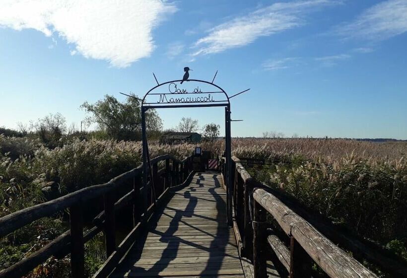 Sunrise Bed & Breakfast