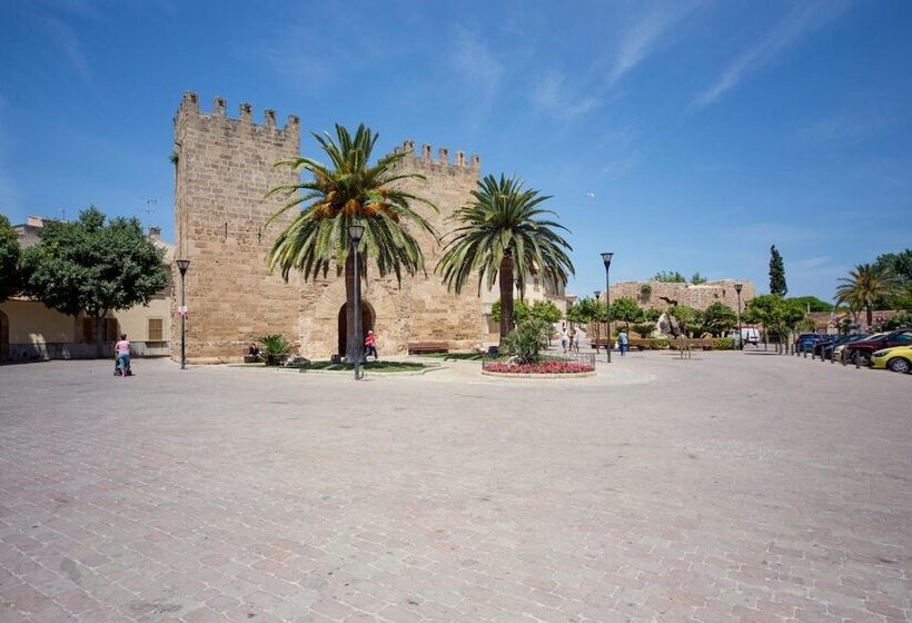 Apartamentos Carlos V