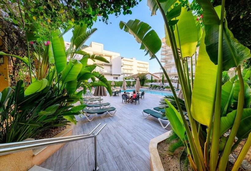 Apartamentos Isla Del Sol