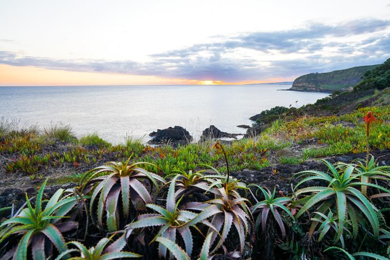 Aparthotel do Mirante