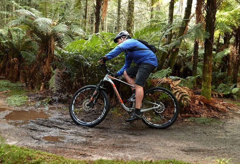 Arawa Park Hotel, Independent Collection By Evt