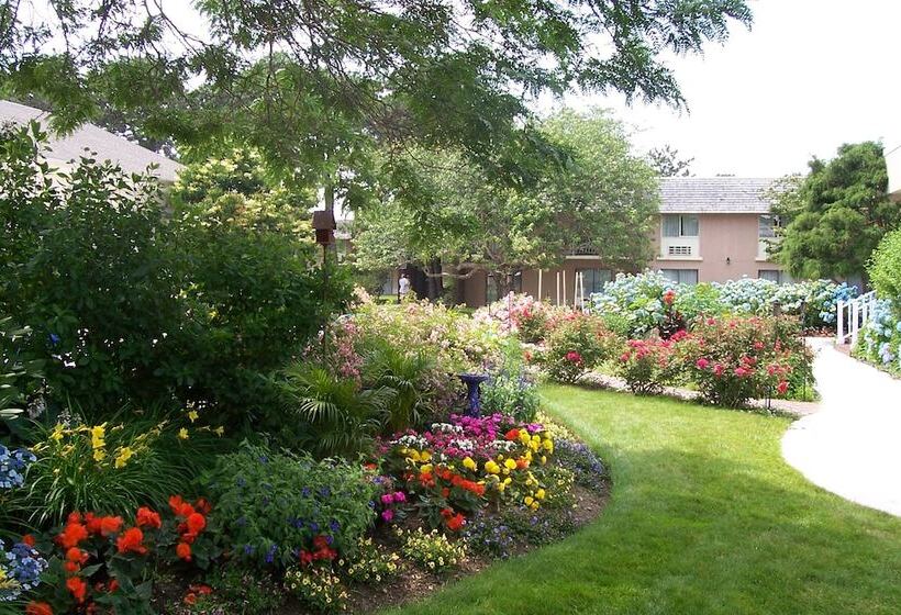 Margaritaville Resort Cape Cod