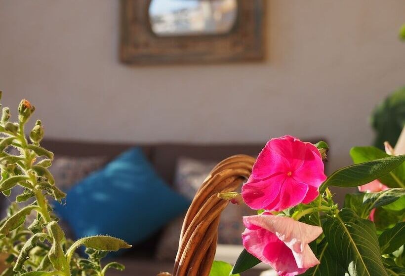 בית מלון כפרי Abaco Altea