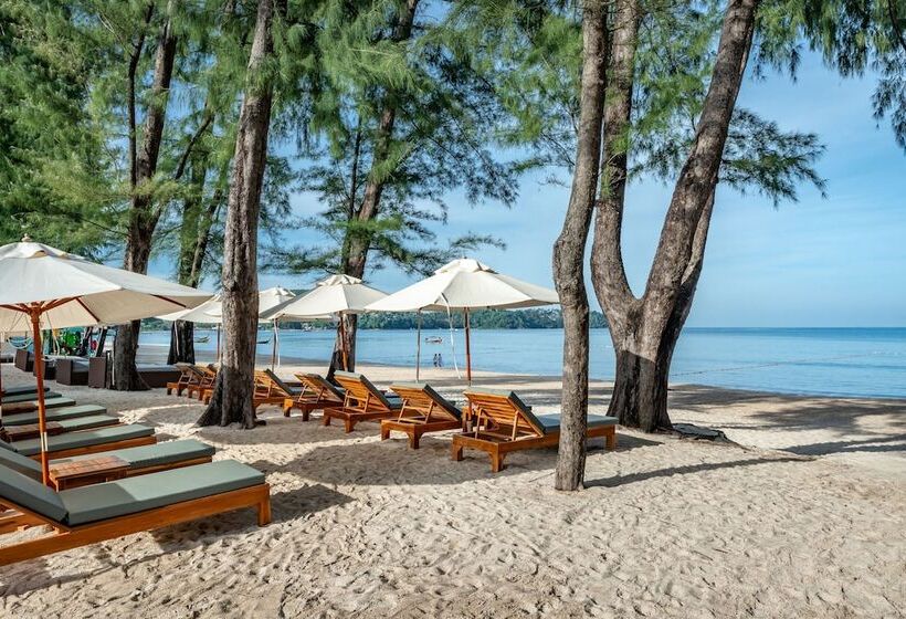 فندق Amora Beach Resort Phuket