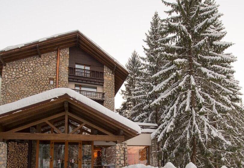 Ana Hotels Bradul Poiana Brasov