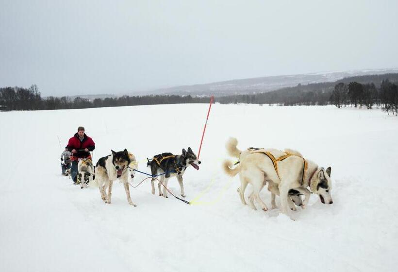 Bergstadens Hotel Og Spa