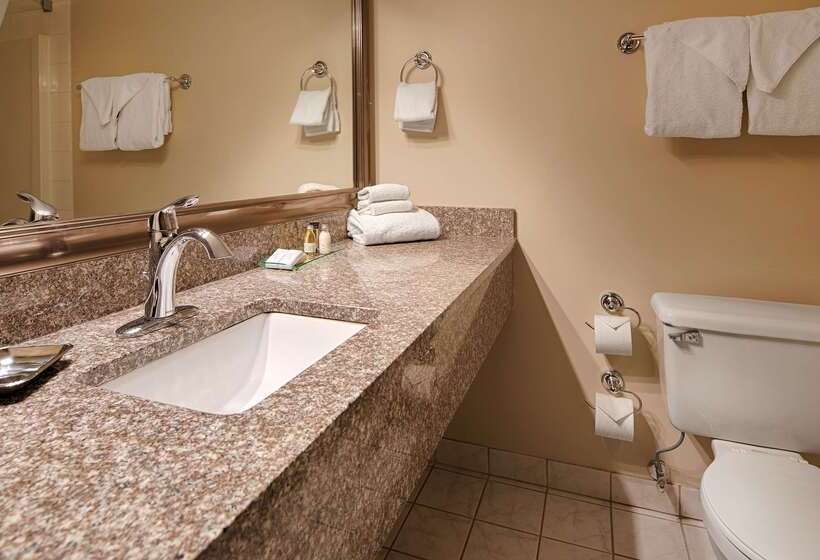 فندق Best Western Mountainview Inn