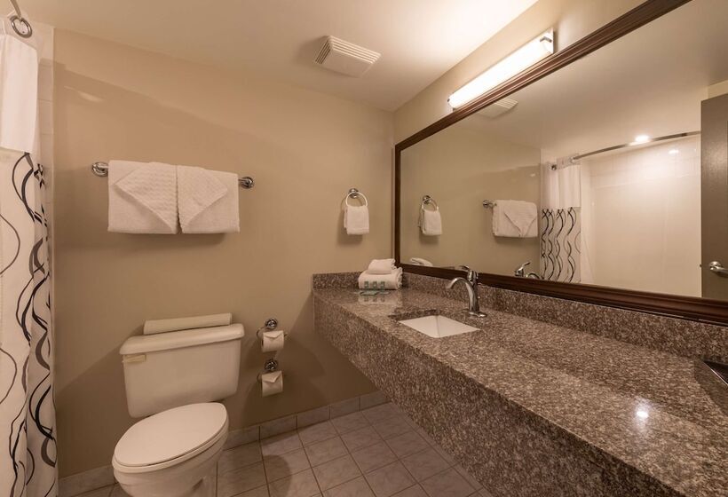 فندق Best Western Mountainview Inn