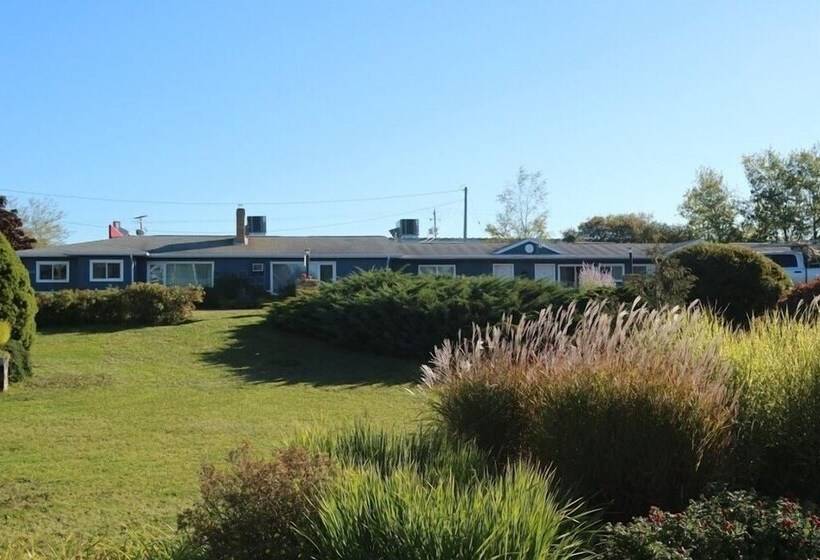 فندق Coastal Inn Kingfisher