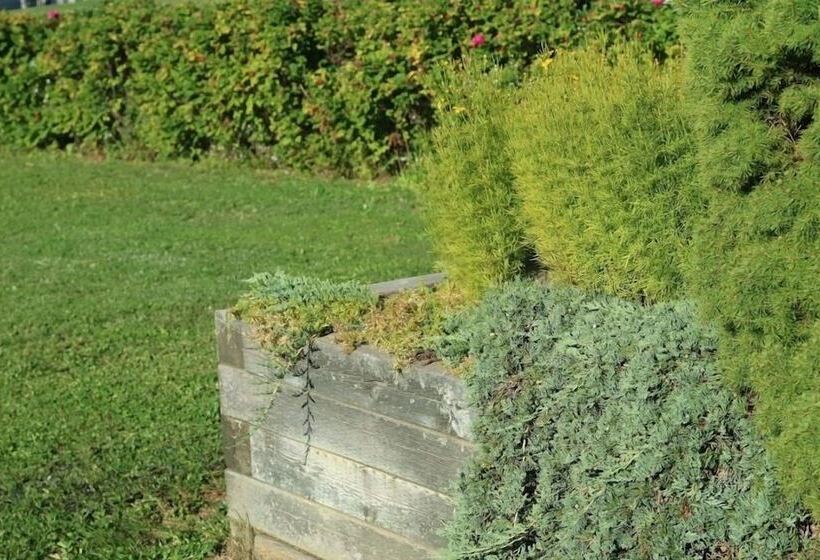 فندق Coastal Inn Kingfisher