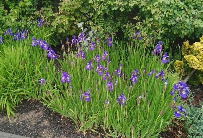 فندق Coastal Inn Kingfisher