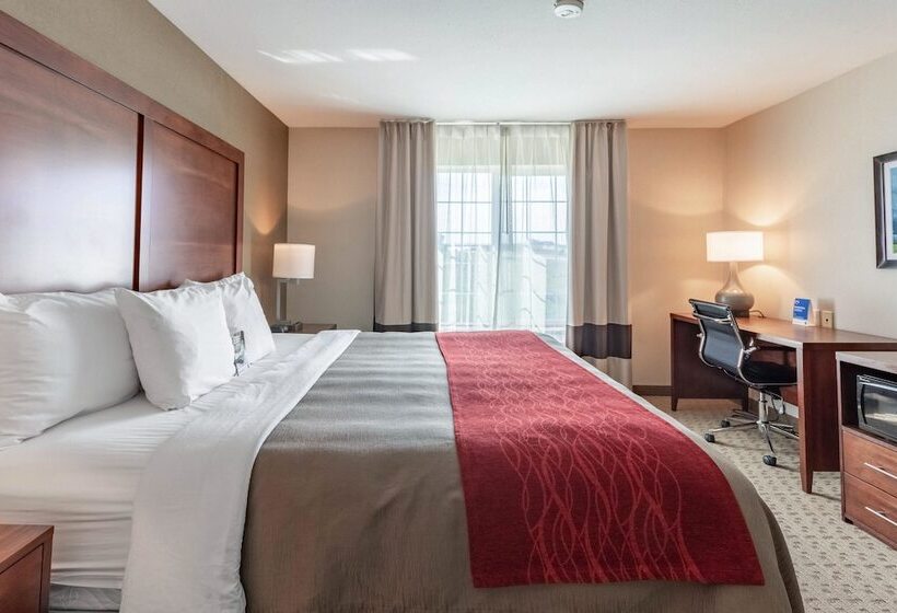 فندق Comfort Inn & Suites Gillette Near Campbell Medical Center