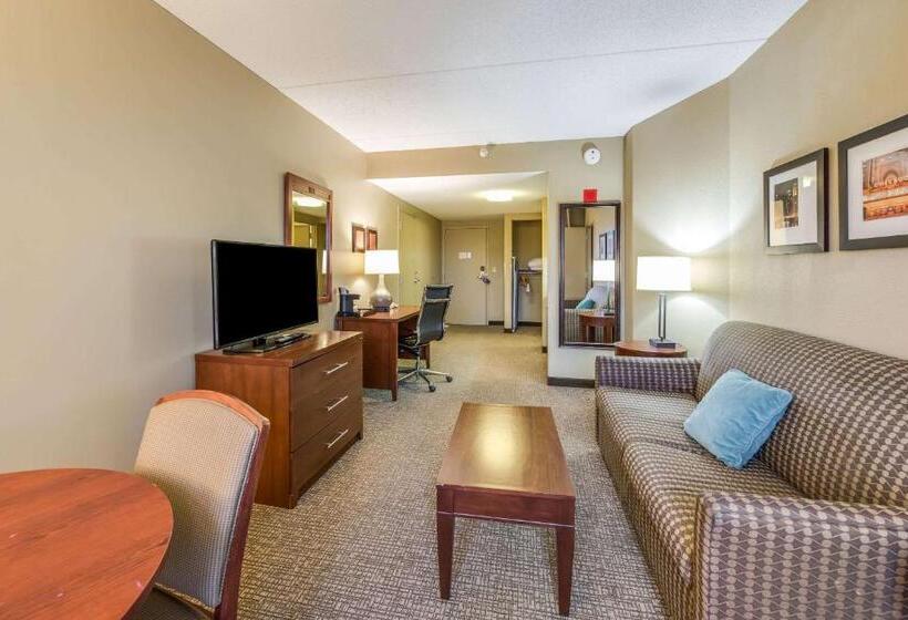 هتل Comfort Suites Chicago O Hare Airport