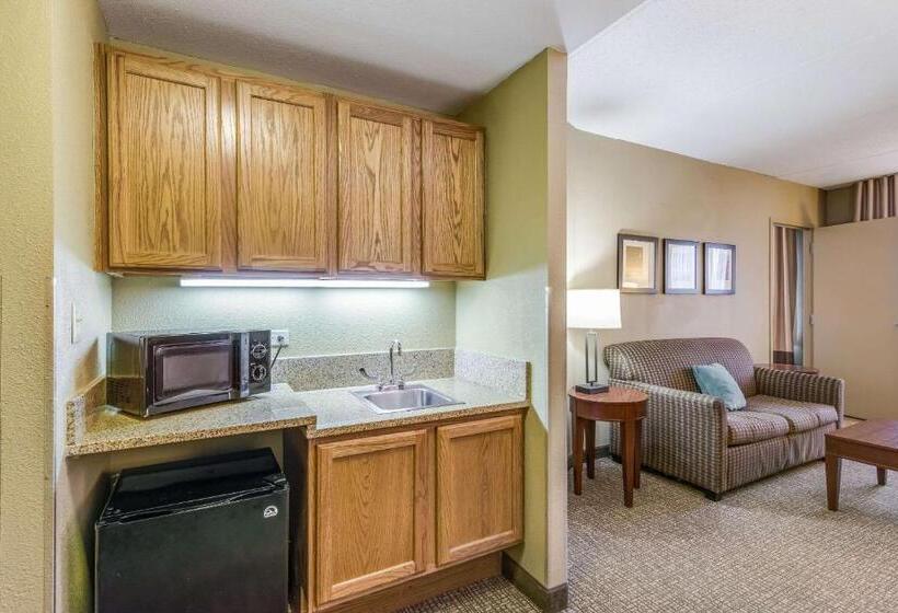 هتل Comfort Suites Chicago O Hare Airport