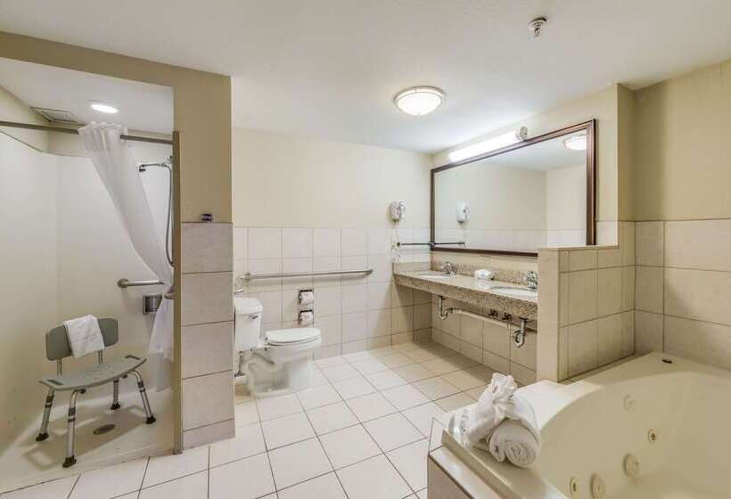 هتل Comfort Suites Chicago O Hare Airport