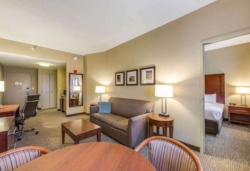 هتل Comfort Suites Chicago O Hare Airport