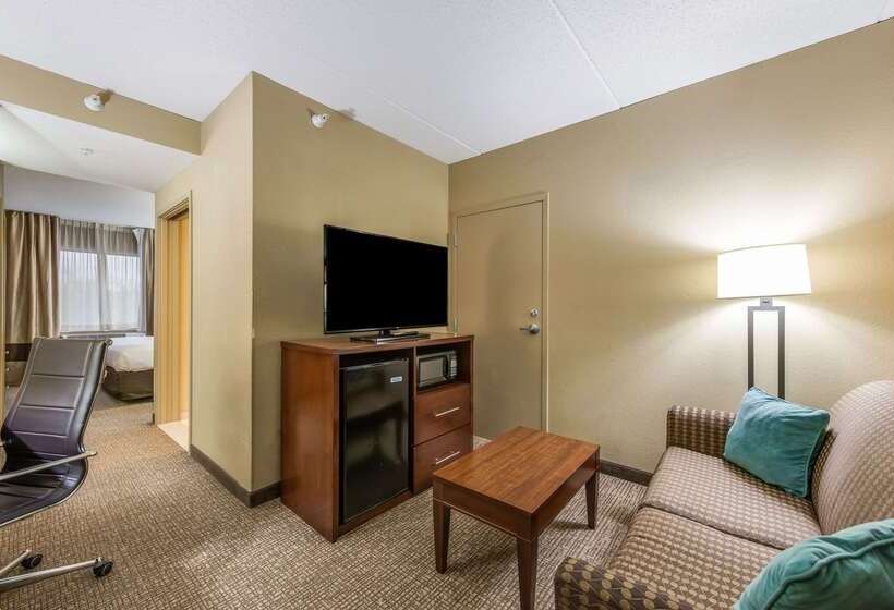 هتل Comfort Suites Chicago O Hare Airport