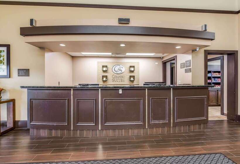 هتل Comfort Suites Chicago O Hare Airport