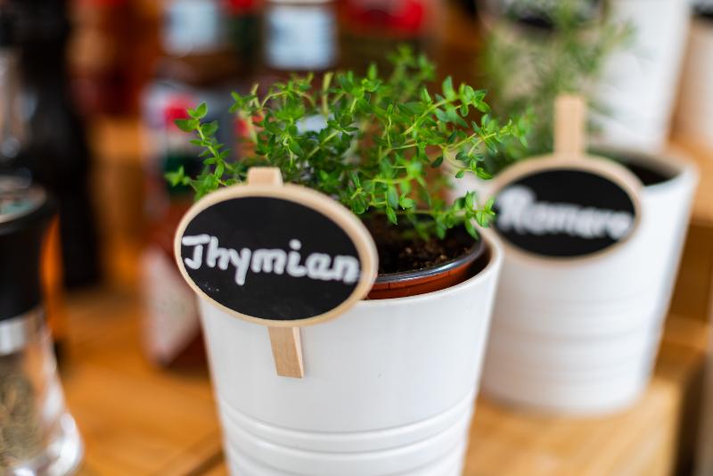 호텔 Esmeralda Maris By Livvo