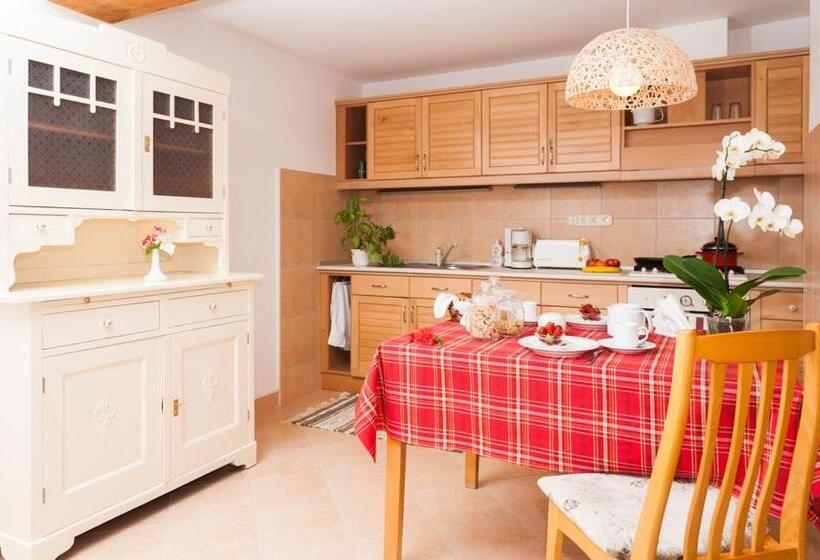 ホテル Fábián Panzió