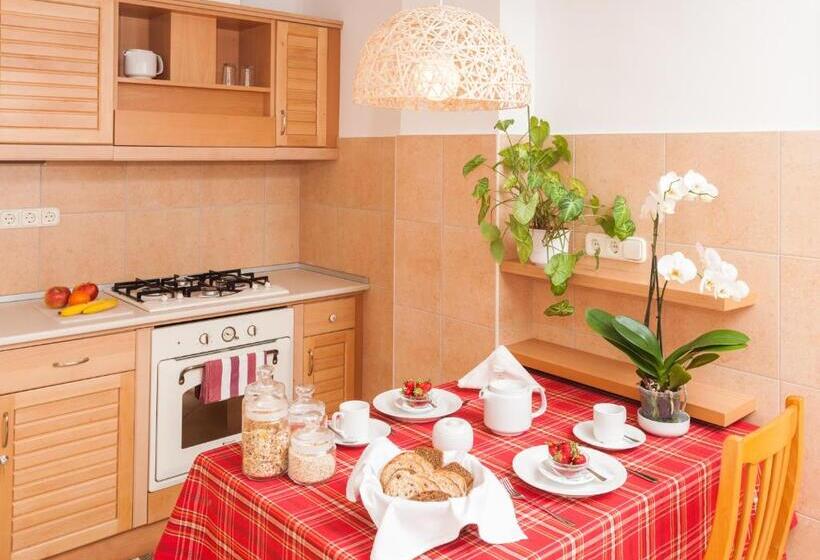 ホテル Fábián Panzió