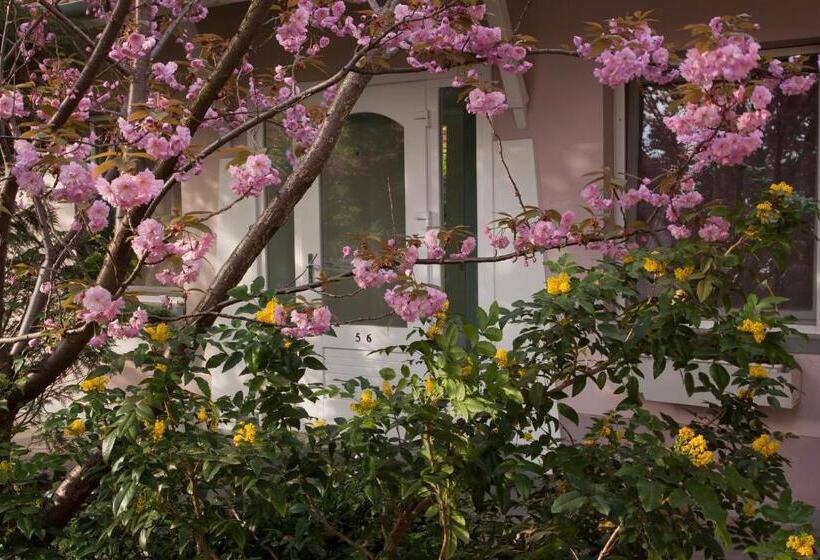 فندق Fábián Panzió