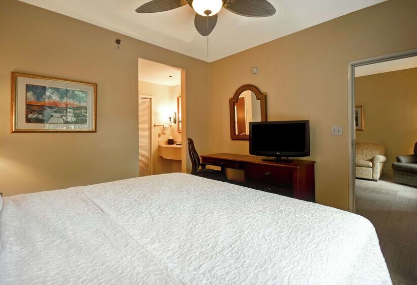 ホテル Hampton Inn & Suites Charleston/west Ashley