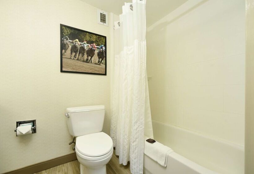 호텔 Hilton Garden Inn Saratoga Springs