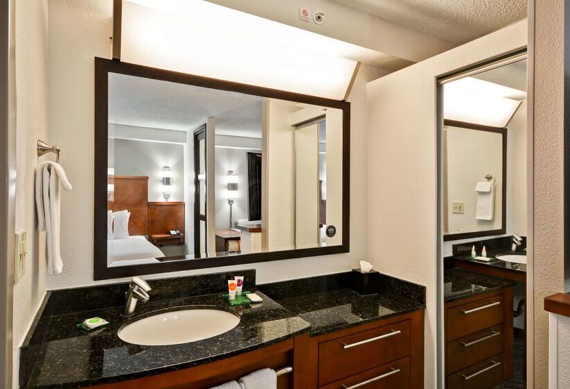 Отель Hyatt Place Baton Rouge/i 10