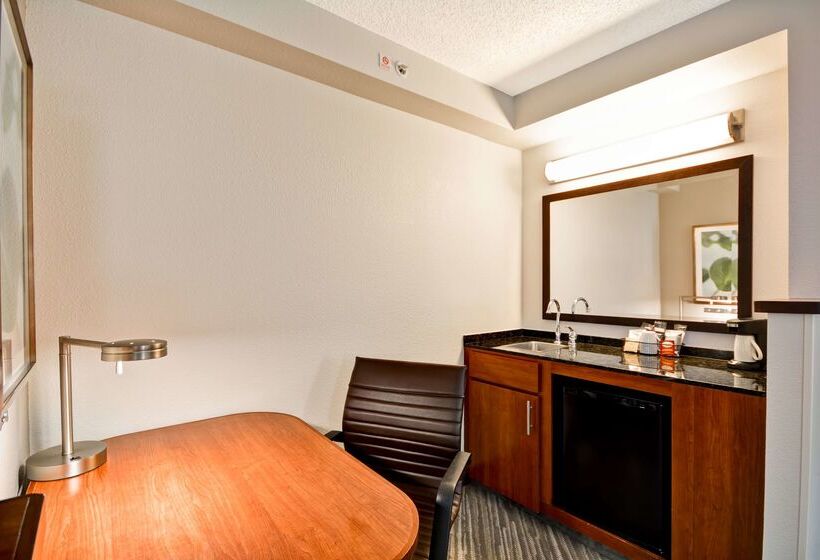 Отель Hyatt Place Baton Rouge/i 10