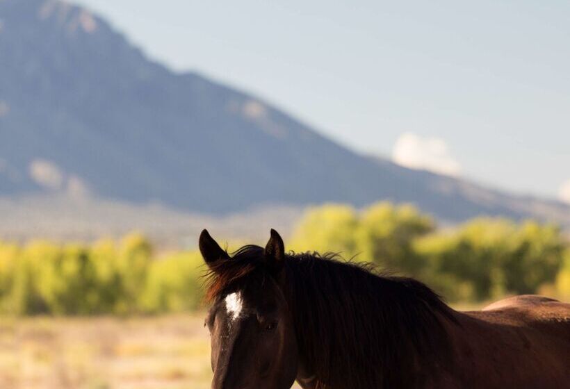 فندق Hyatt Regency Tamaya South Santa Fe