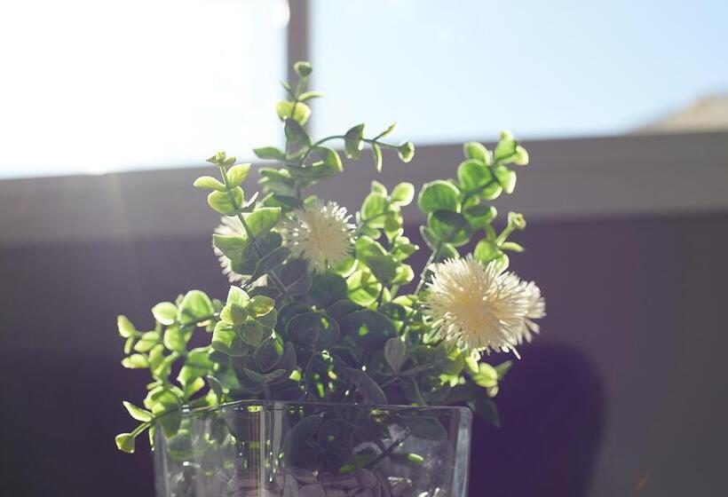 هتل Joan Miro Museum