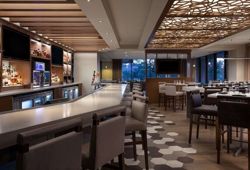 בית מלון כפרי Hilton Beachfront Resort & Spa Hilton Head Island